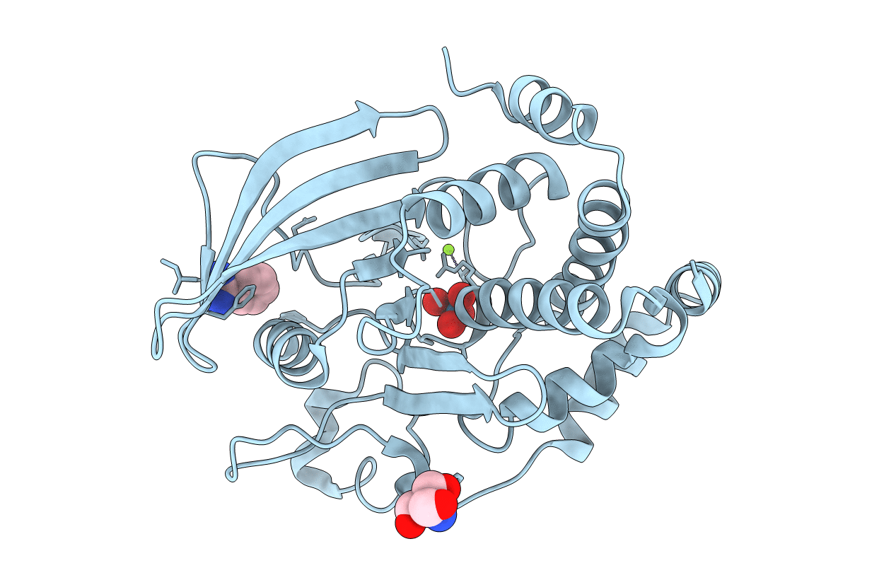 6XEG image