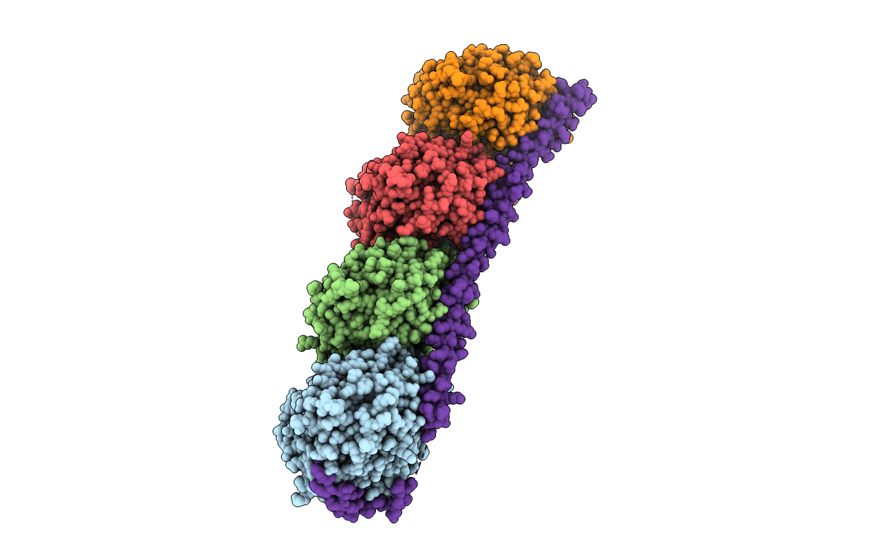 6XES image