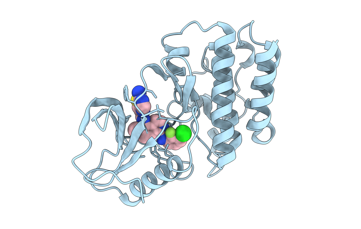 6XFP image
