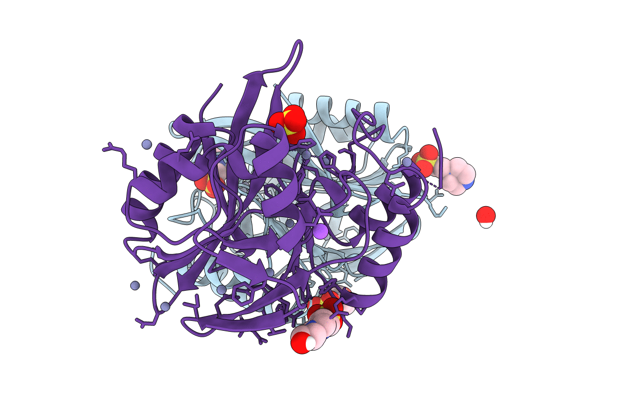 6XFR image