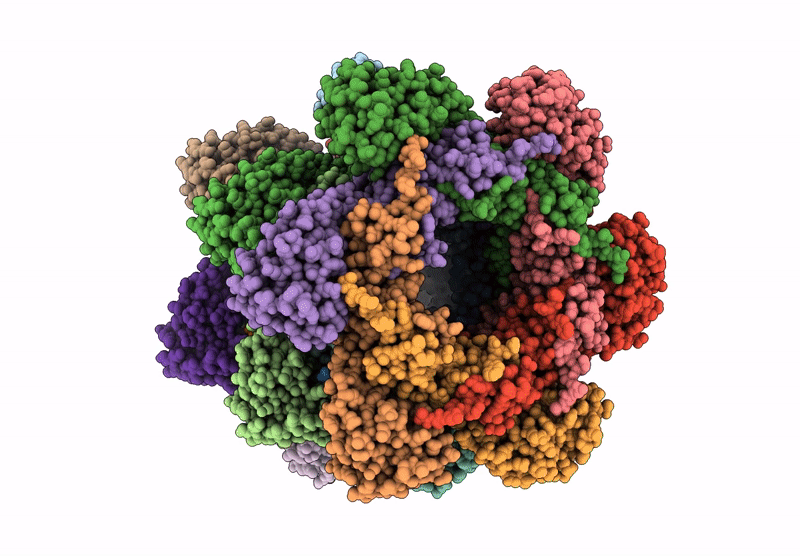 6XGR image