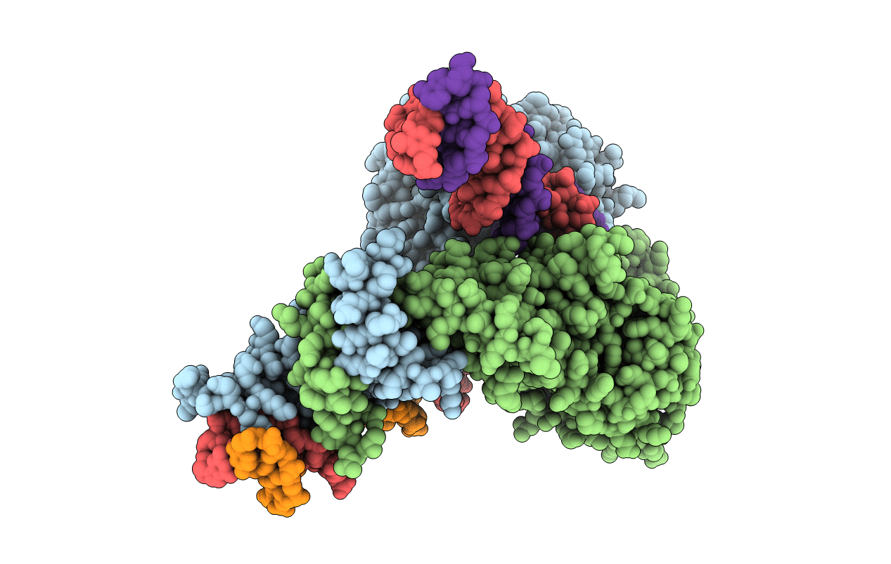 6XGX image