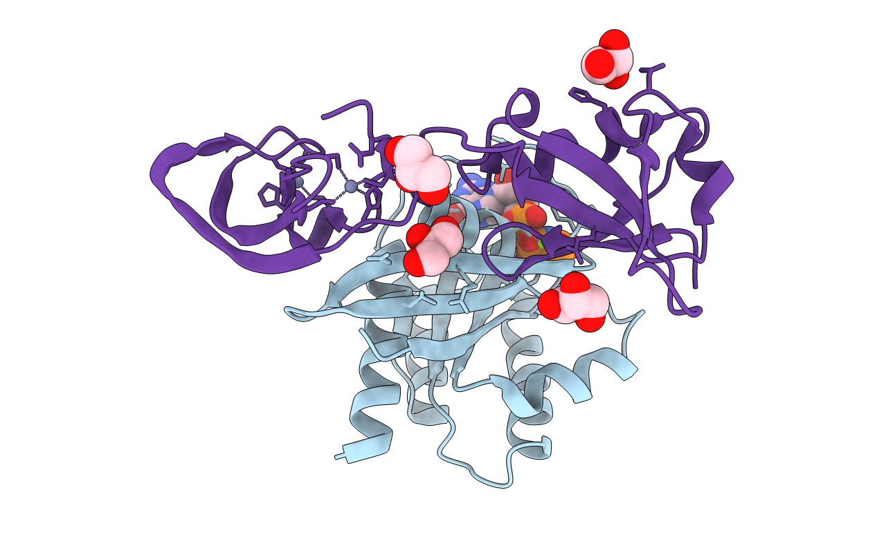 6XHA image