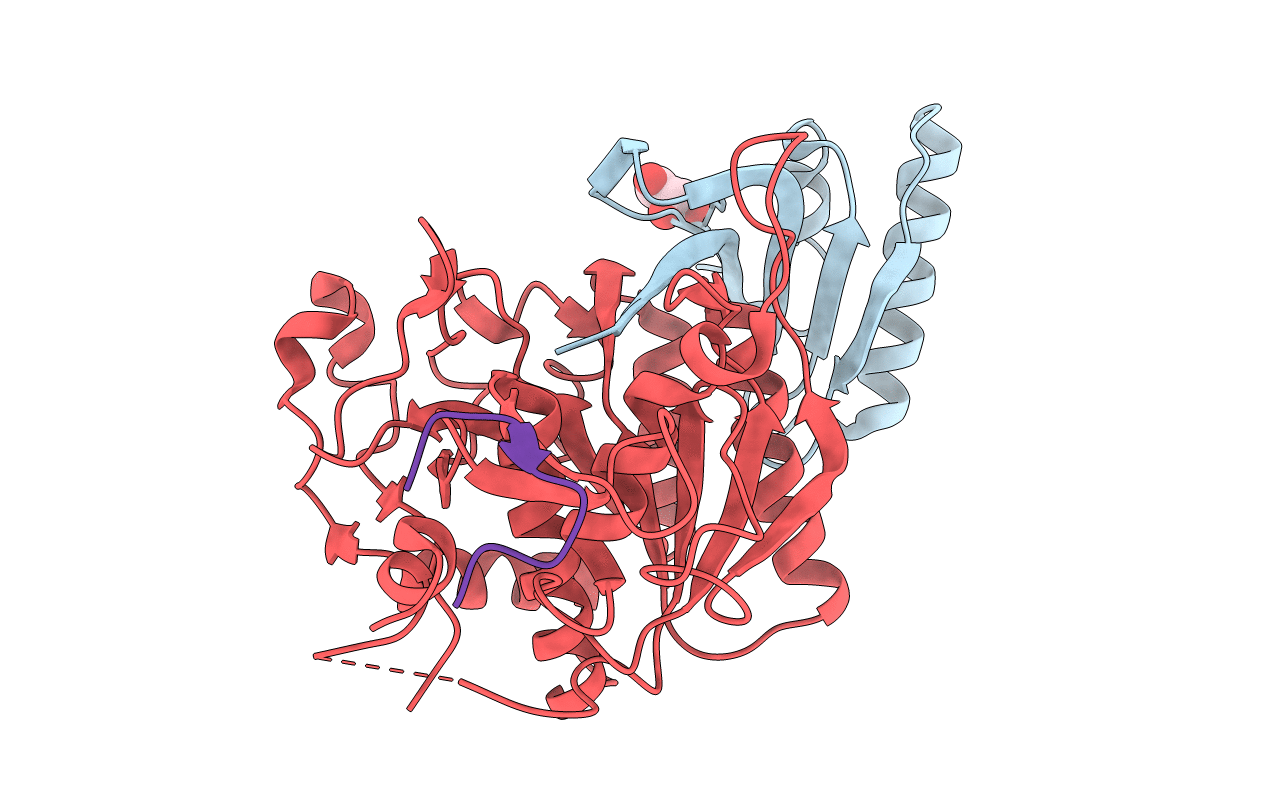 6XIB image