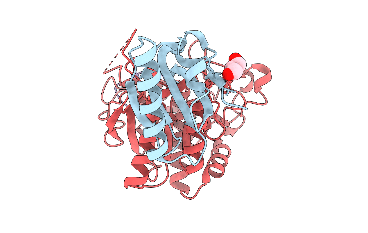 6XIF image