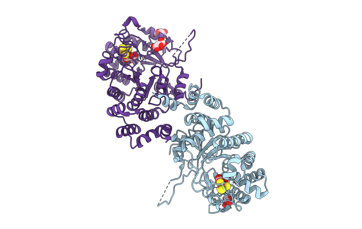 6XIG image