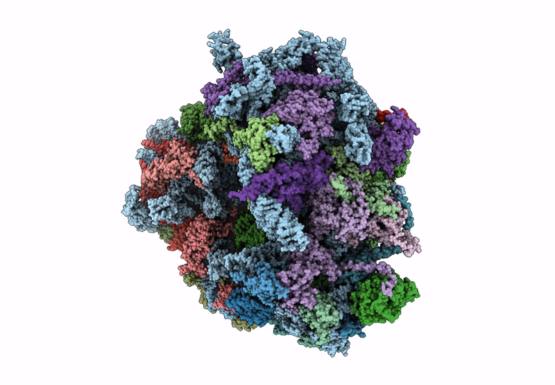 6XIR image