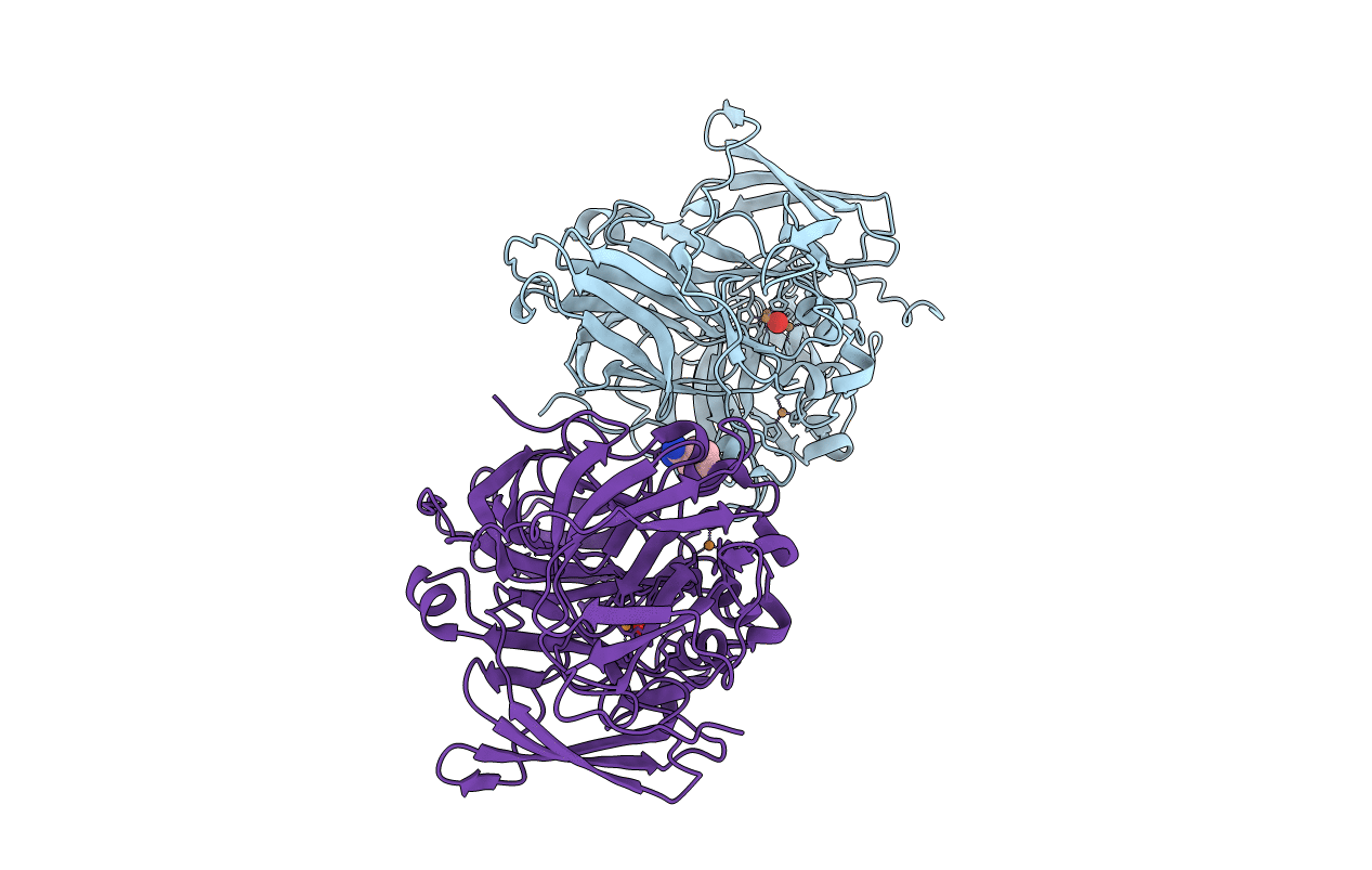 6XIZ image