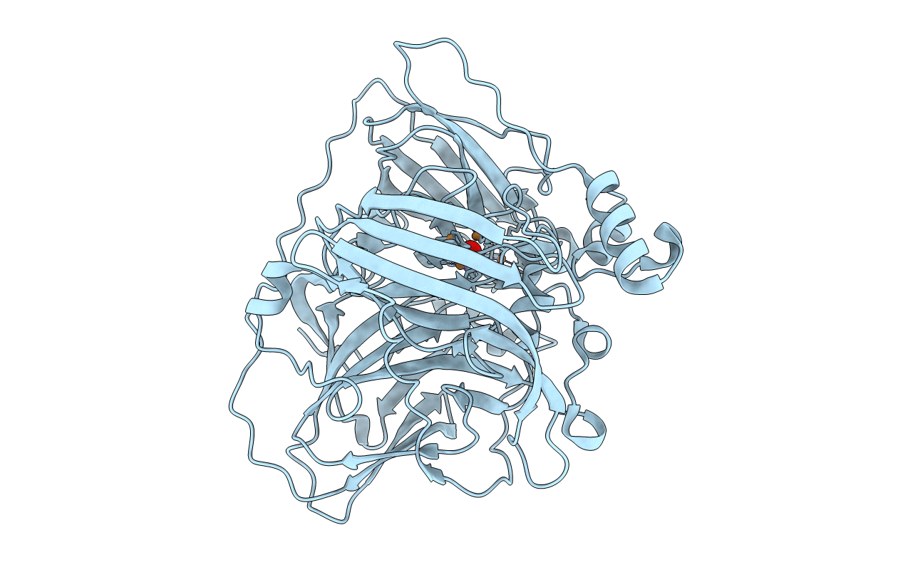 6XJ0 image
