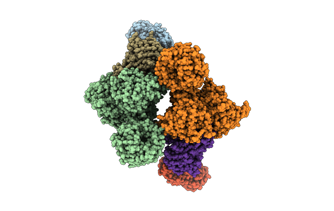 6XK9 image