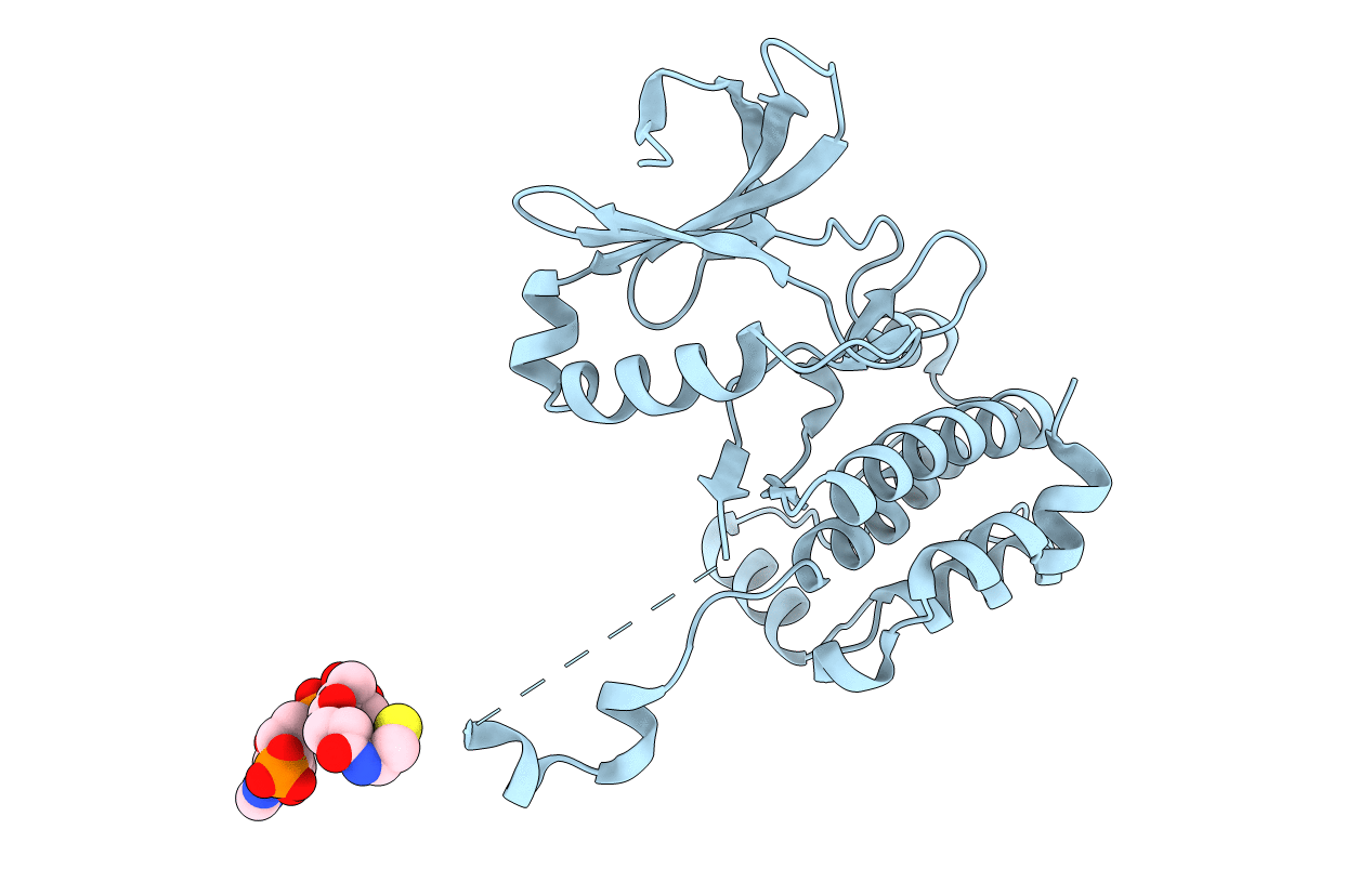 6XKA image