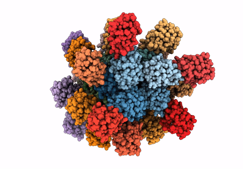6XKK image