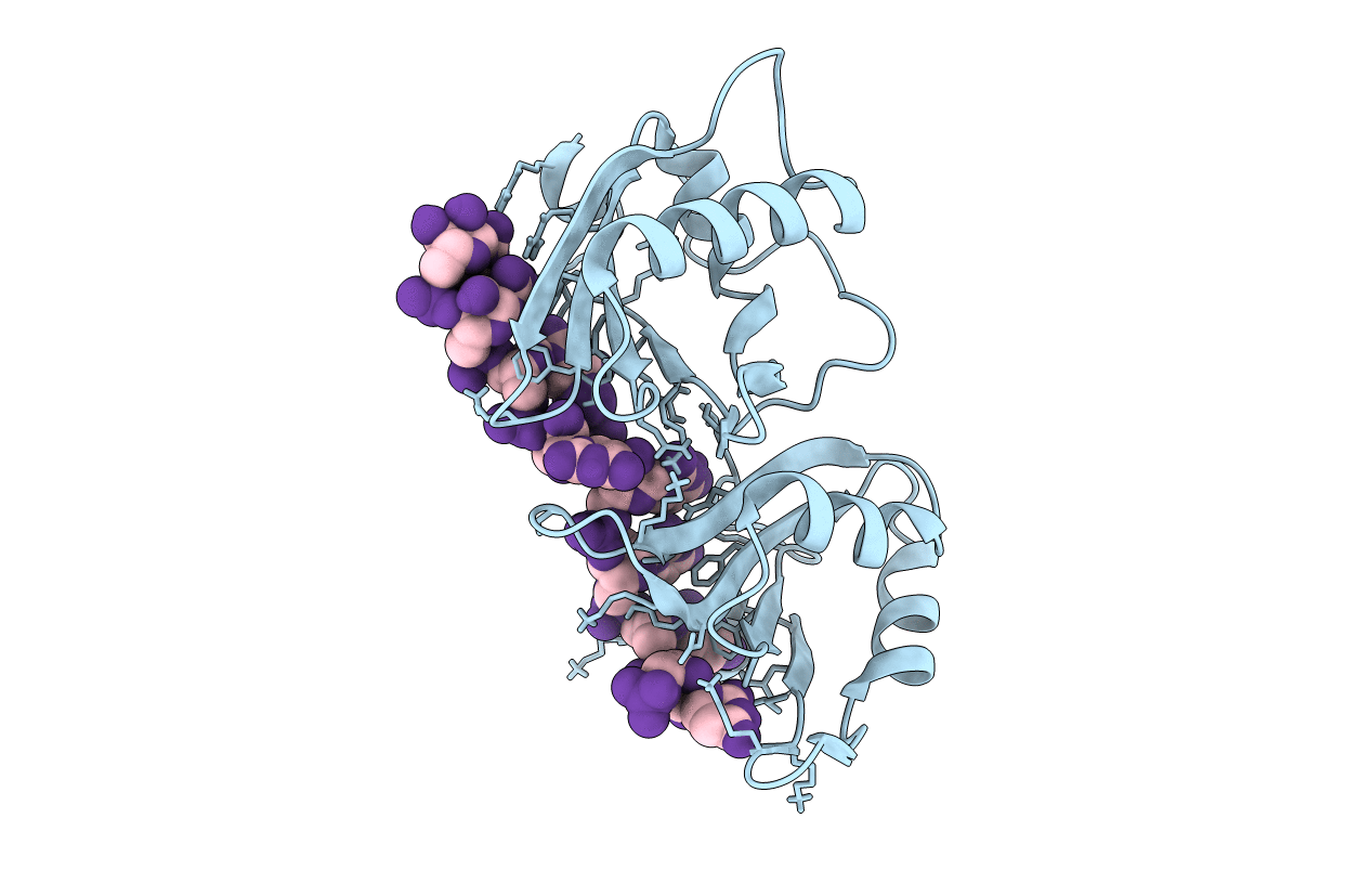 6XLX image