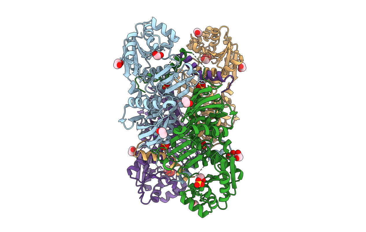 6XNQ image