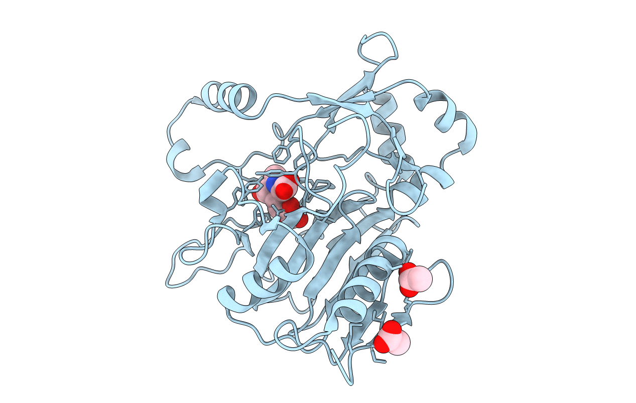 6XOJ image