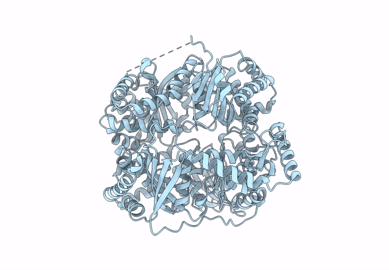 6XOS image