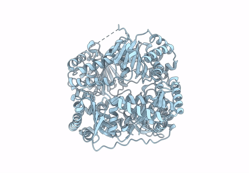 6XOT image