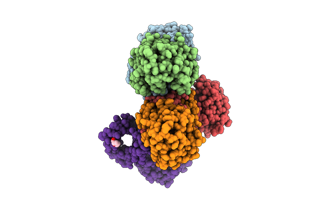 6XOZ image