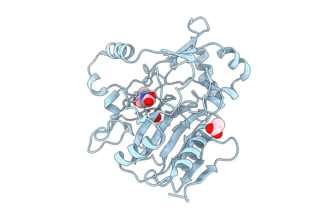 6XPA image