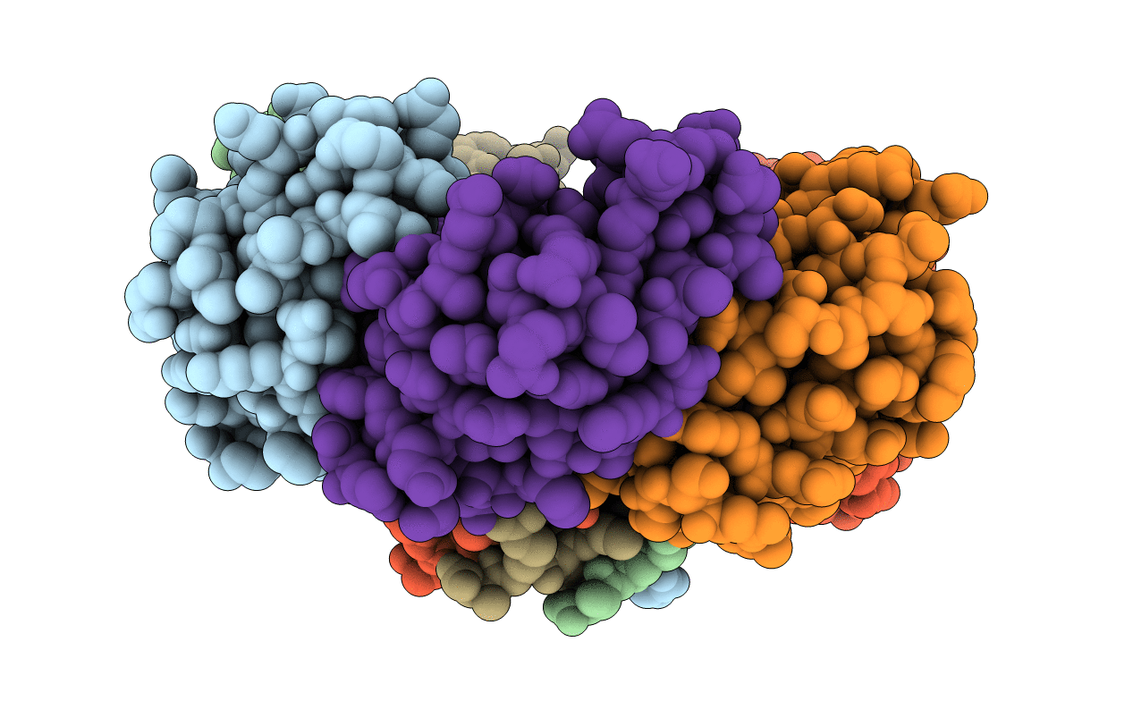 6XPI image