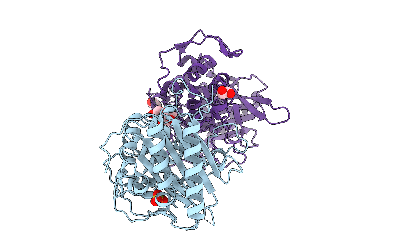 6XQX image