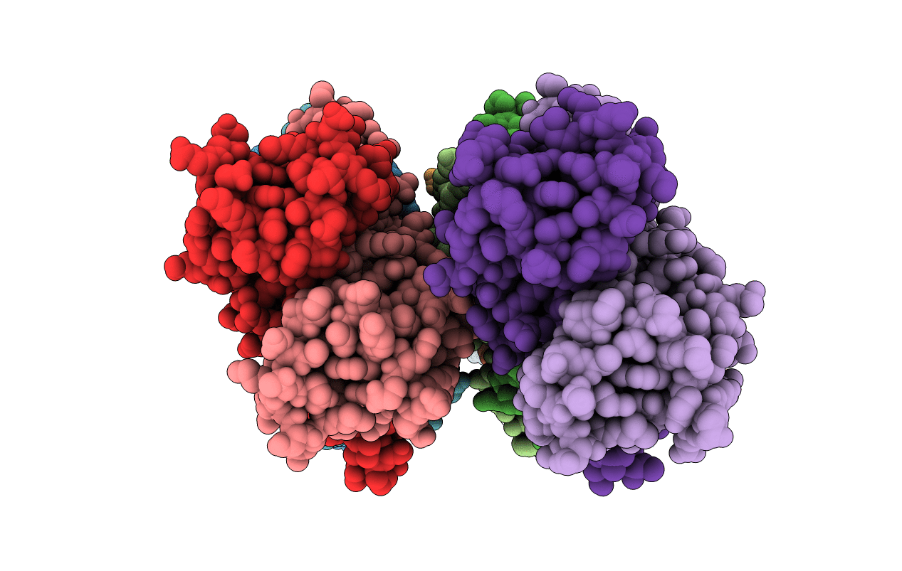 6XRI image