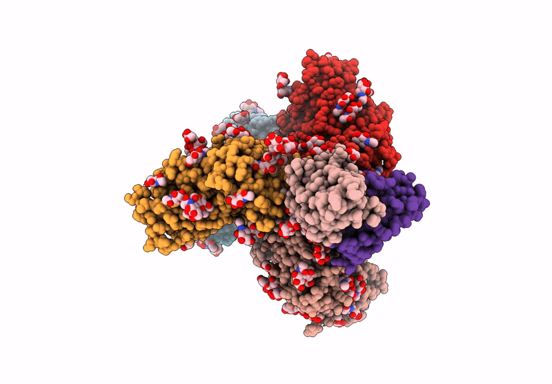 6XRT image