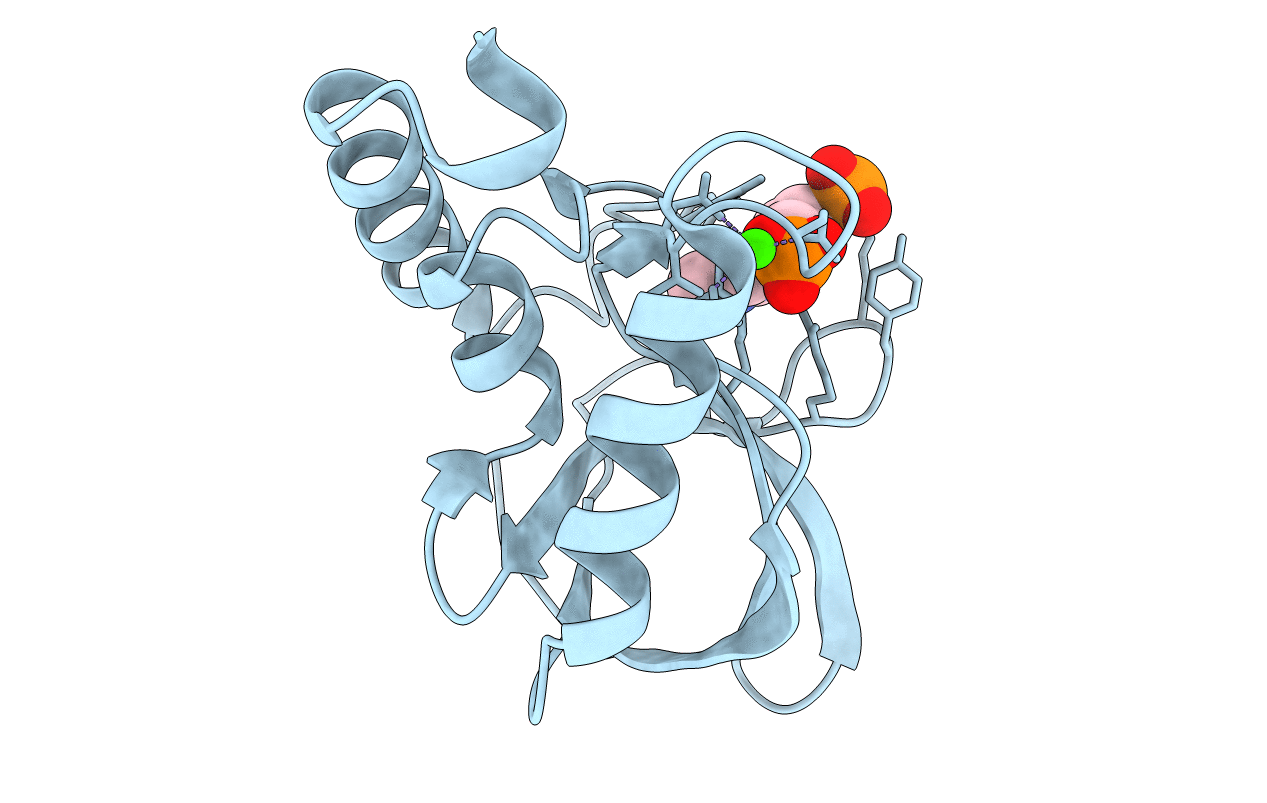 6XSI image