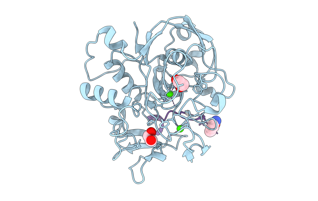6XTL image