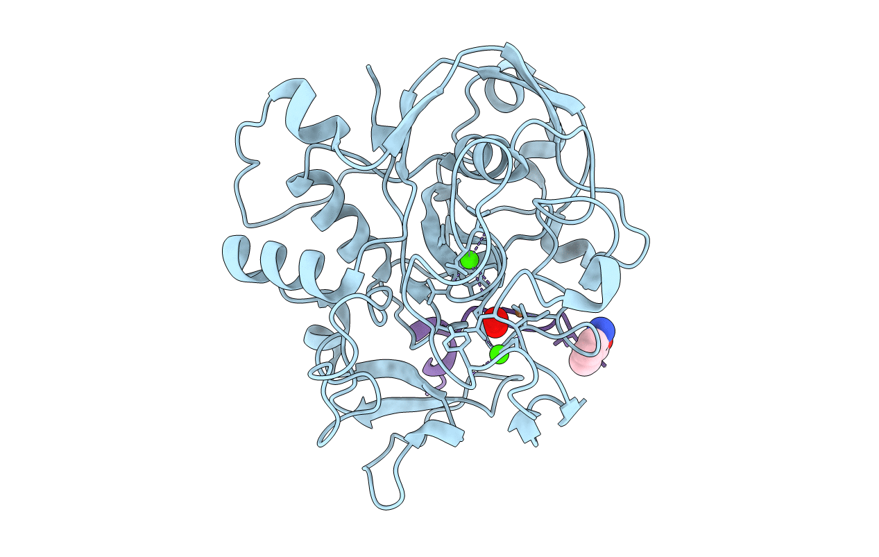 6XTR image