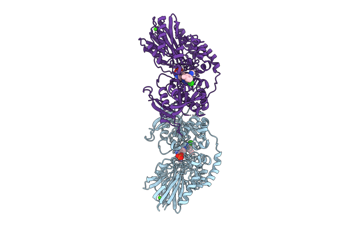 6XUG image