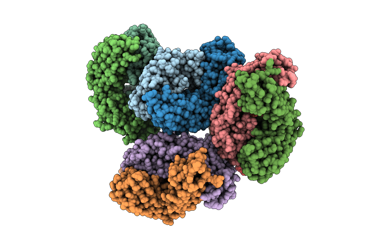 6XUL image