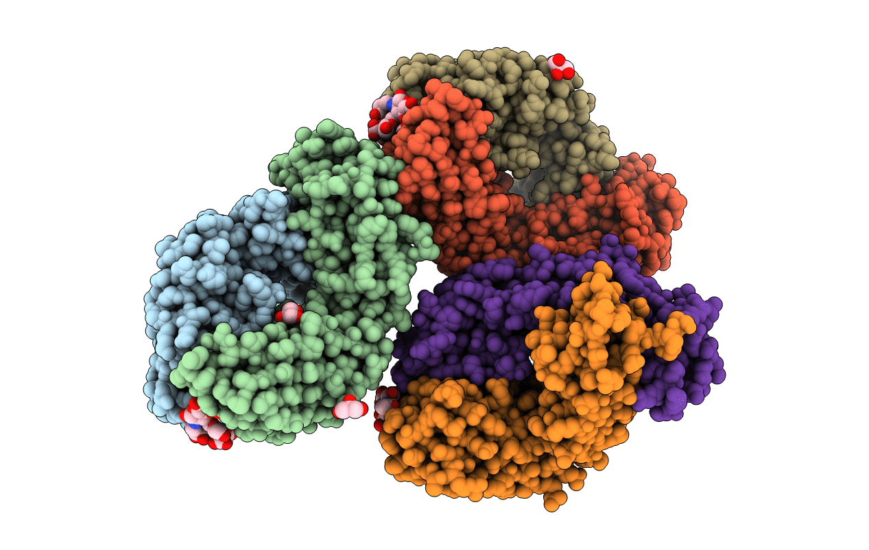 6XUN image