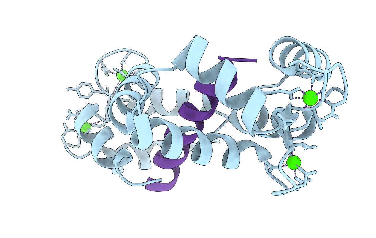6XXF image
