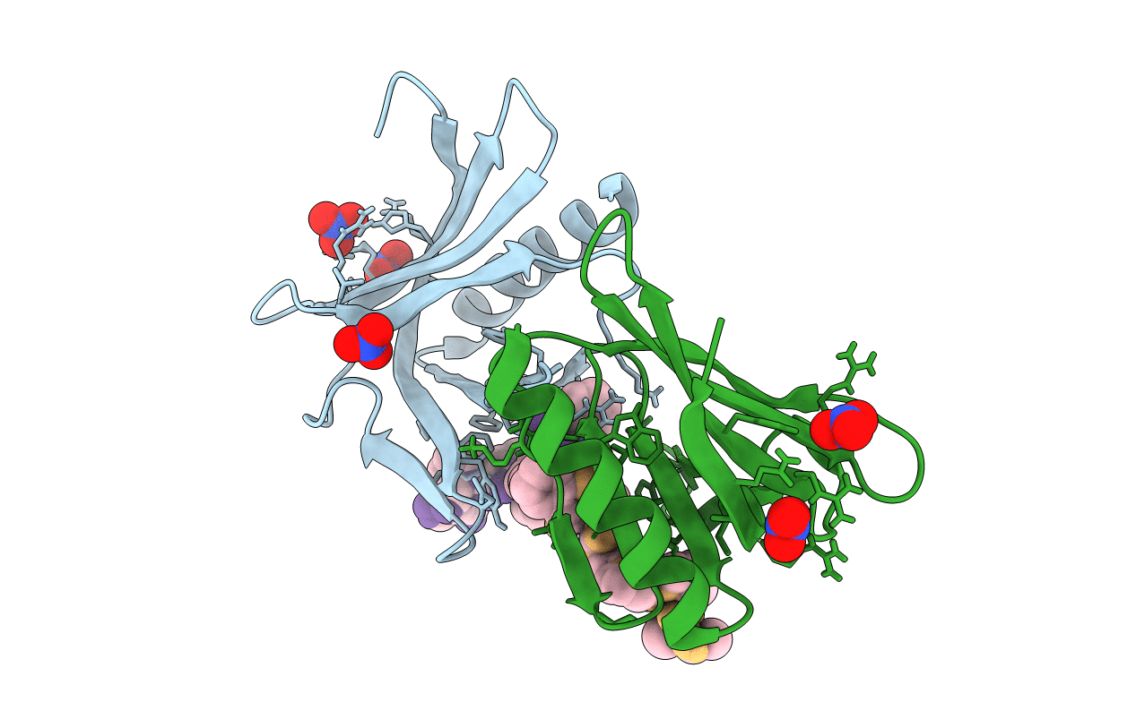 6XXR image
