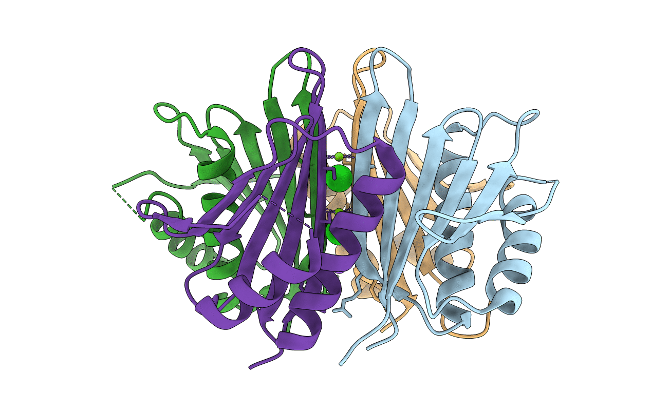 6XYD image
