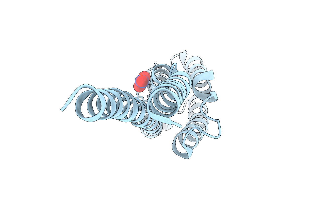 6XYN image