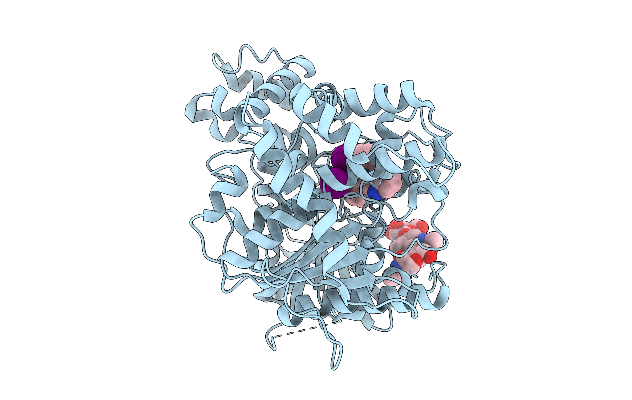6XYU image