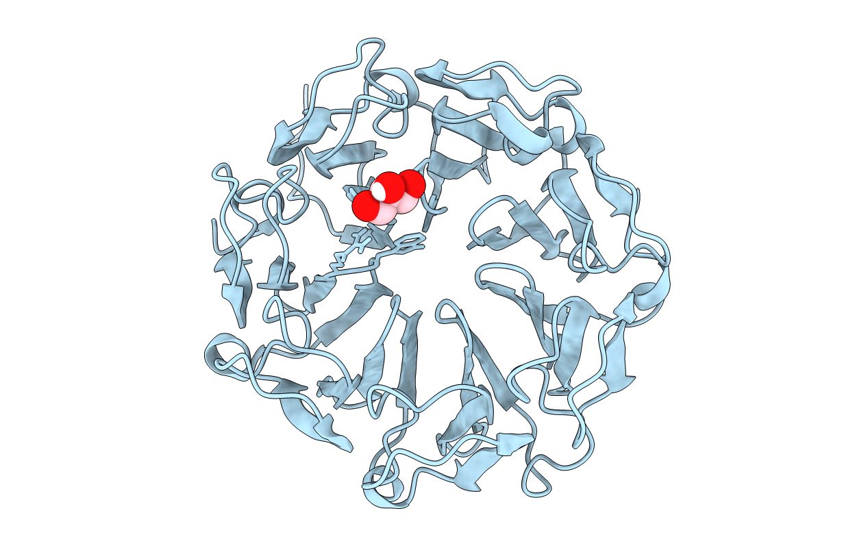 6XZL image