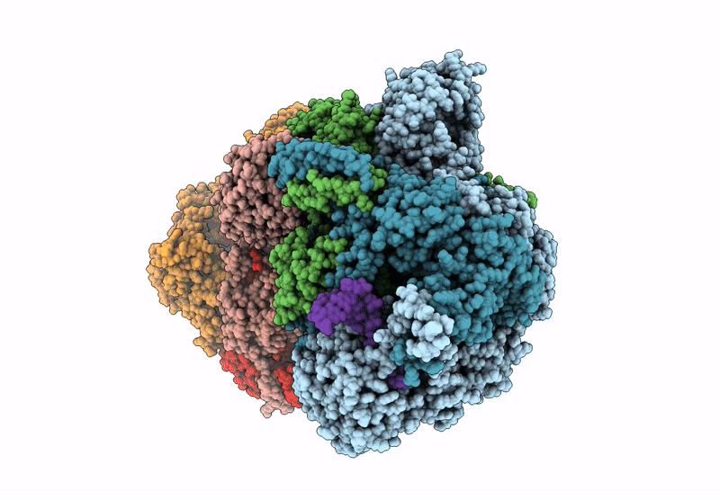 6XZR image