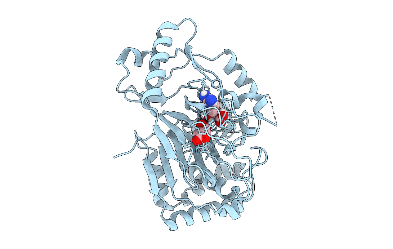 6Y12 image