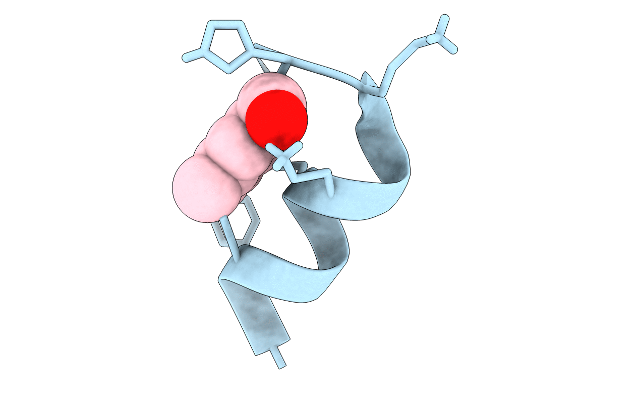 6Y13 image