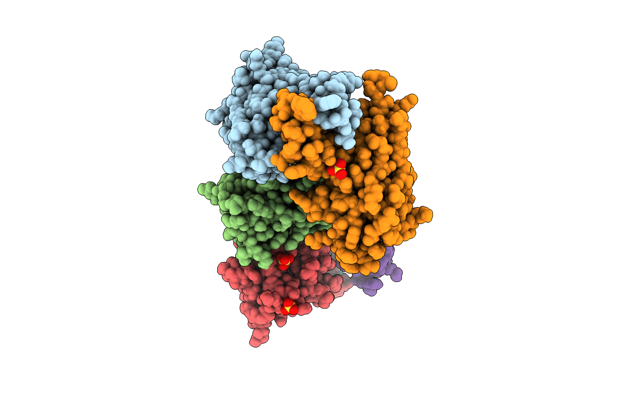 6Y1R image