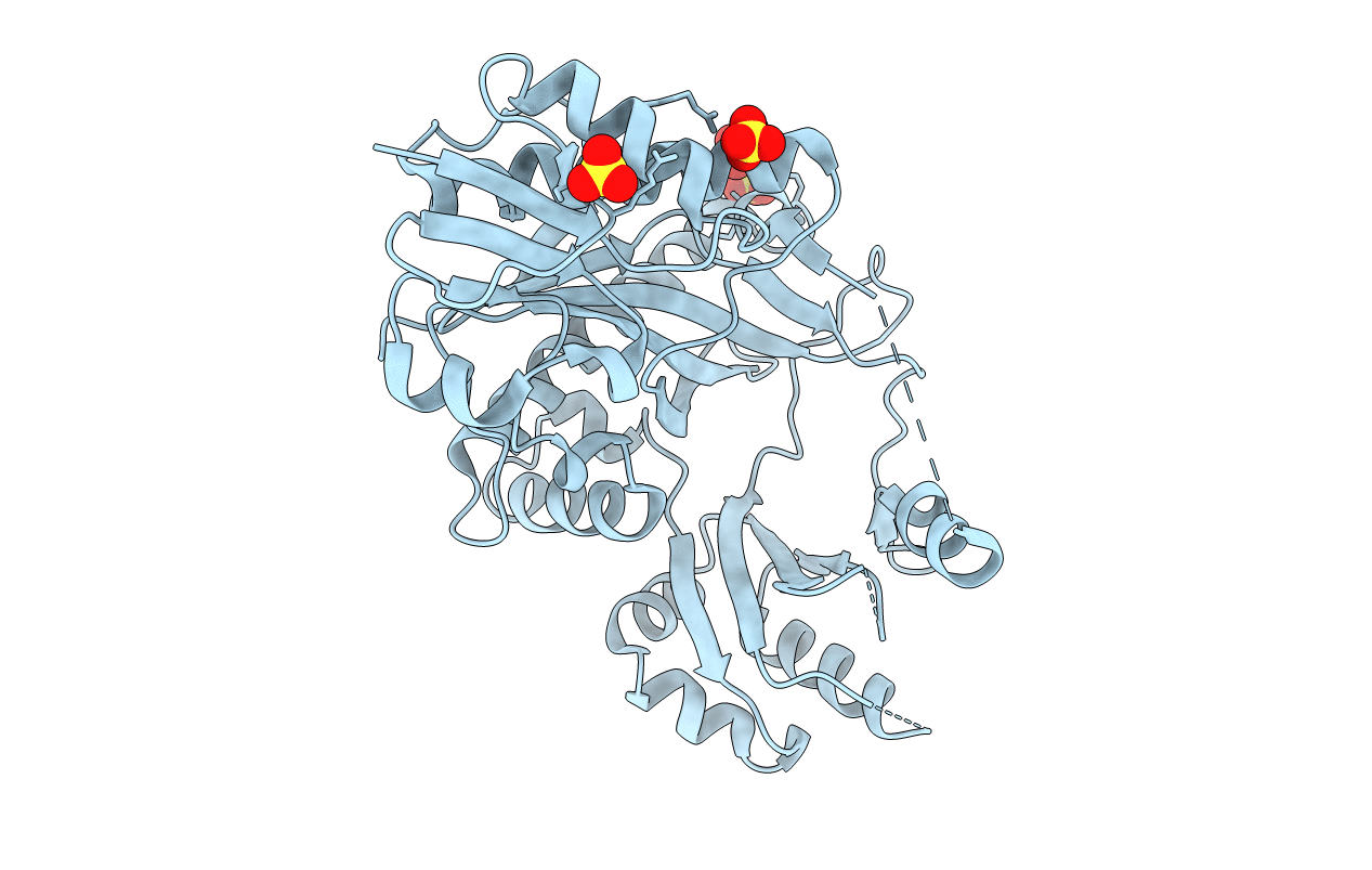 6Y3P image