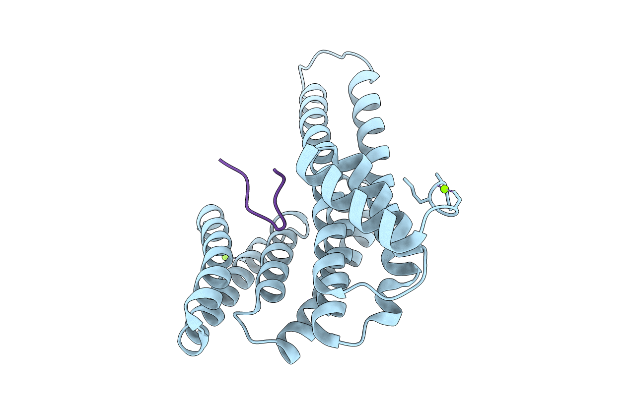 6Y3R image