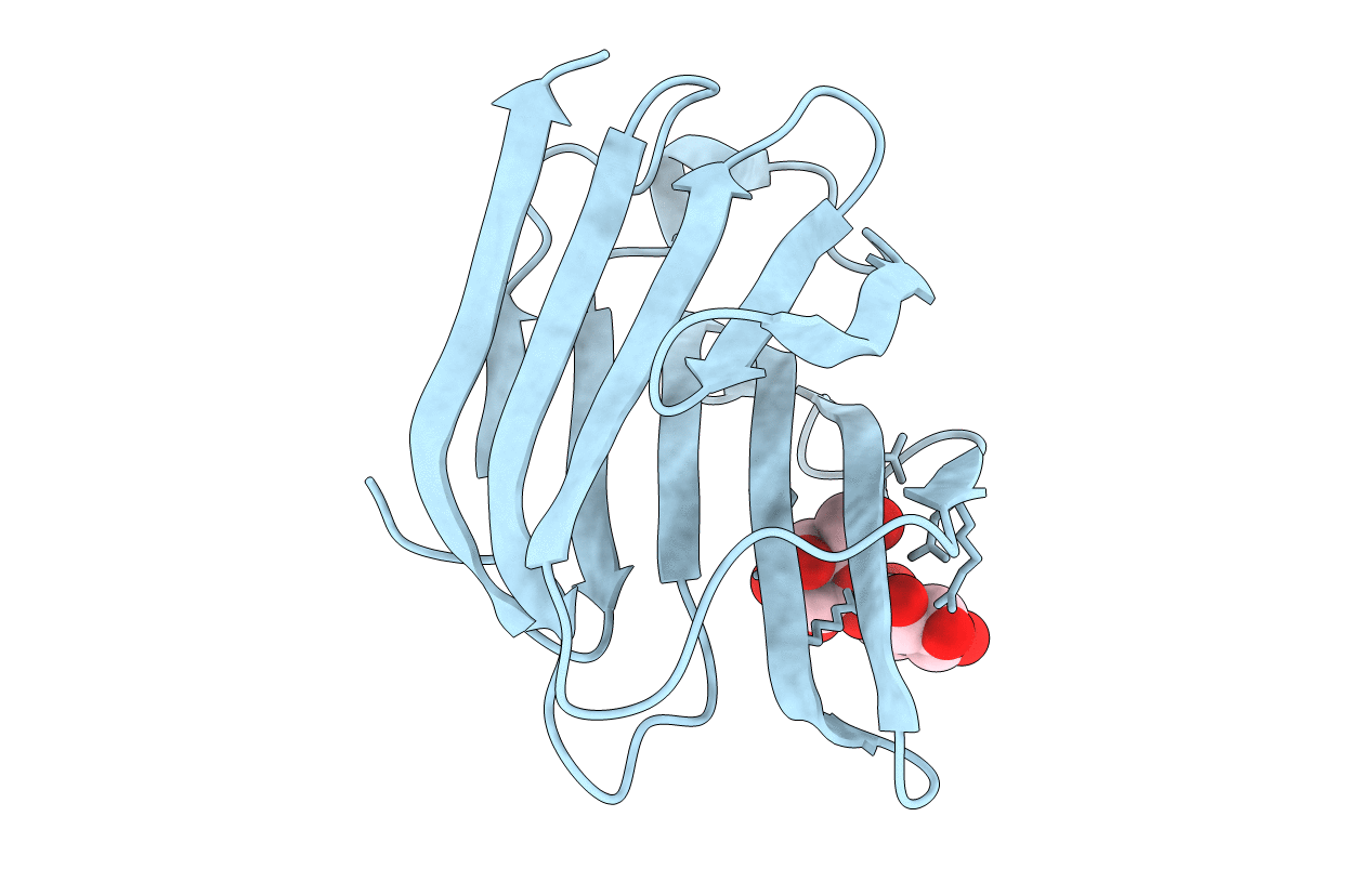 6Y4C image