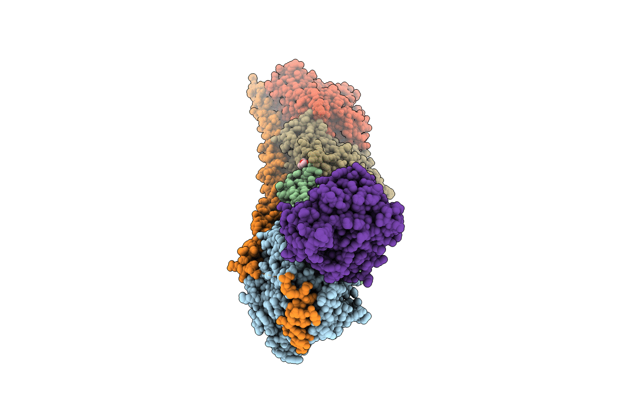6Y4M image