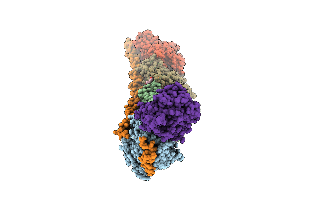 6Y4N image