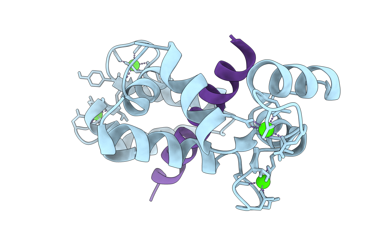 6Y4O image