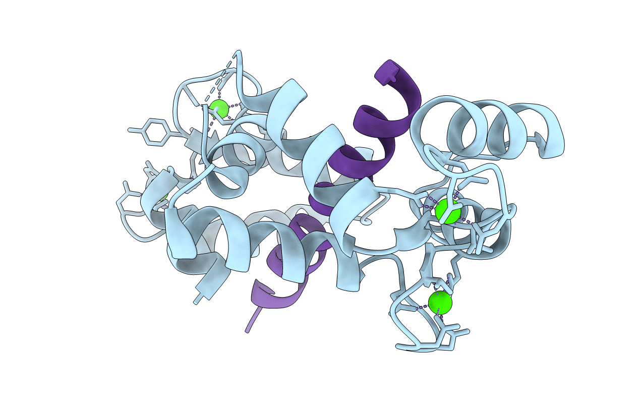 6Y4P image